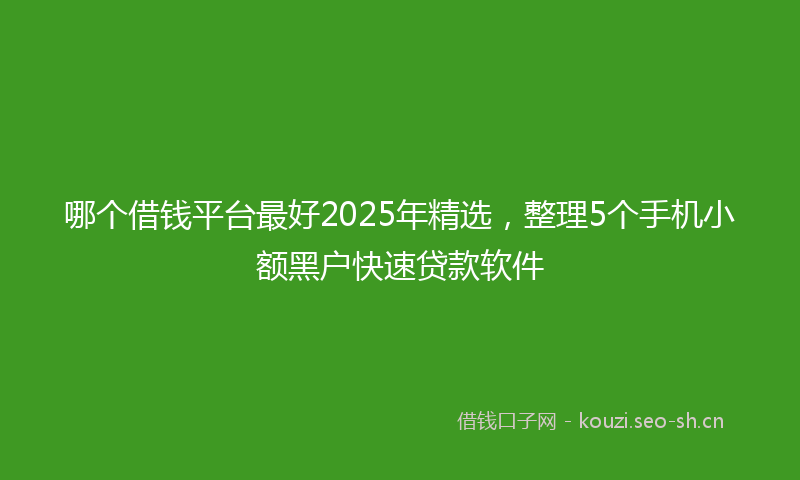 哪个借钱平台最好2025年精选，整理5个手机小额黑户快速贷款软件