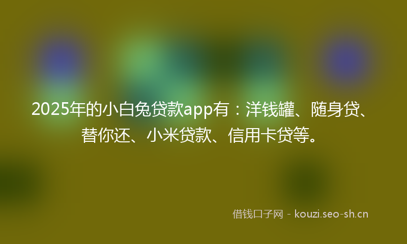 2025年的小白兔贷款app有：洋钱罐、随身贷、替你还、小米贷款、信用卡贷等。