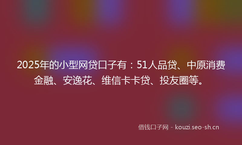 2025年的小型网贷口子有：51人品贷、中原消费金融、安逸花、维信卡卡贷、投友圈等。