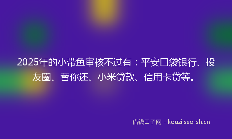2025年的小带鱼审核不过有：平安口袋银行、投友圈、替你还、小米贷款、信用卡贷等。