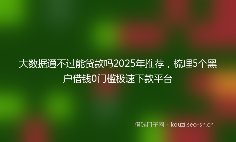 大数据通不过能贷款吗2025年推荐，梳理5个黑户借钱0门槛极速下款平台