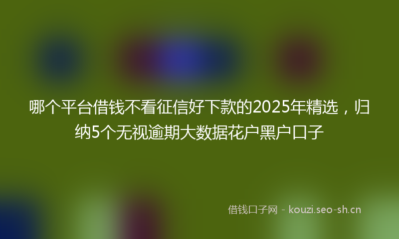 哪个平台借钱不看征信好下款的2025年精选，归纳5个无视逾期大数据花户黑户口子