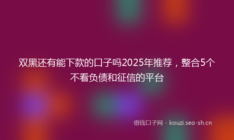 双黑还有能下款的口子吗2025年推荐,整合5个不看负债和征信的平台