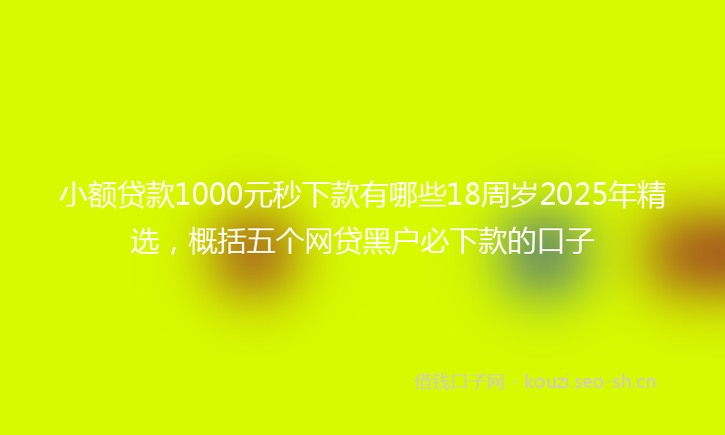 小额贷款1000元秒下款有哪些18周岁2025年精选，概括五个网贷黑户必下款的口子