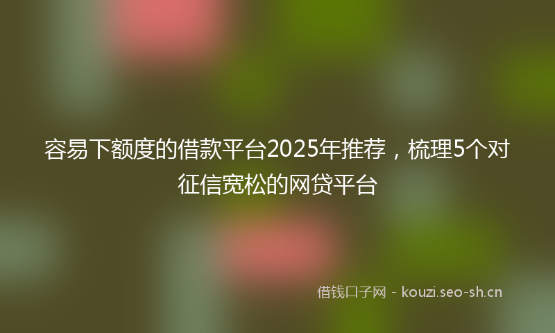 容易下额度的借款平台2025年推荐，梳理5个对征信宽松的网贷平台