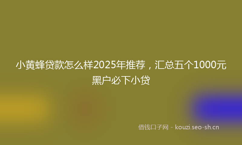 小黄蜂贷款怎么样2025年推荐,汇总五个1000元黑户必下小贷