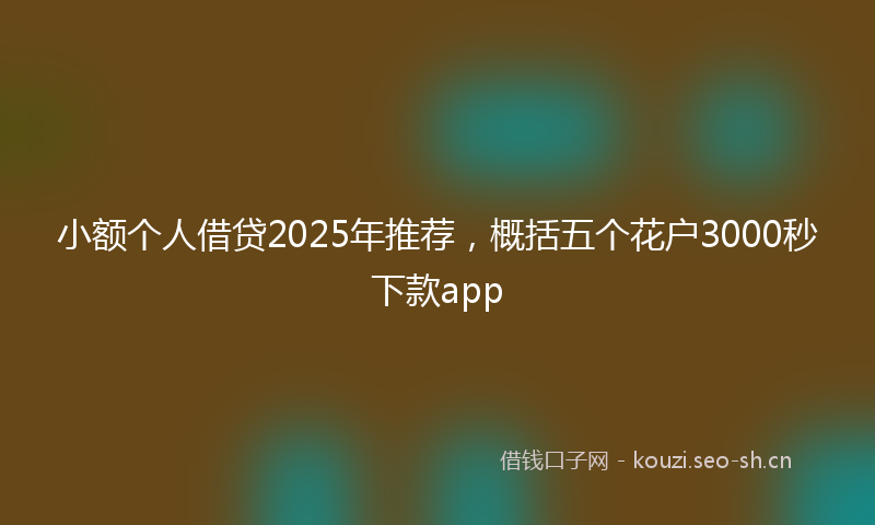 小额个人借贷2025年推荐,概括五个花户3000秒下款app