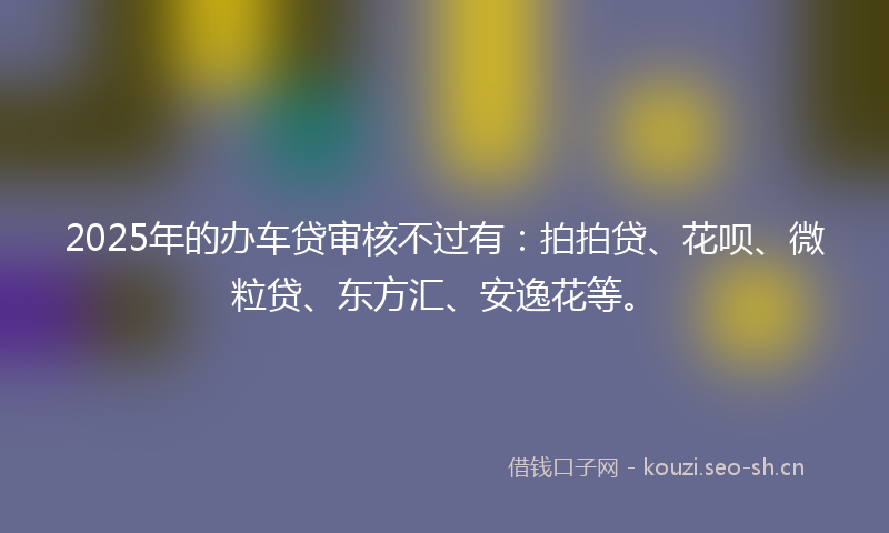 2025年的办车贷审核不过有：拍拍贷、花呗、微粒贷、东方汇、安逸花等。