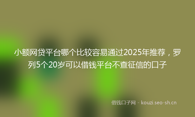 小额网贷平台哪个比较容易通过2025年推荐,罗列5个20岁可以借钱平台不查征信的口子