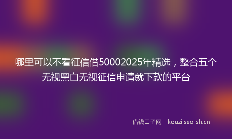 哪里可以不看征信借50002025年精选,整合五个无视黑白无视征信申请就下款的平台