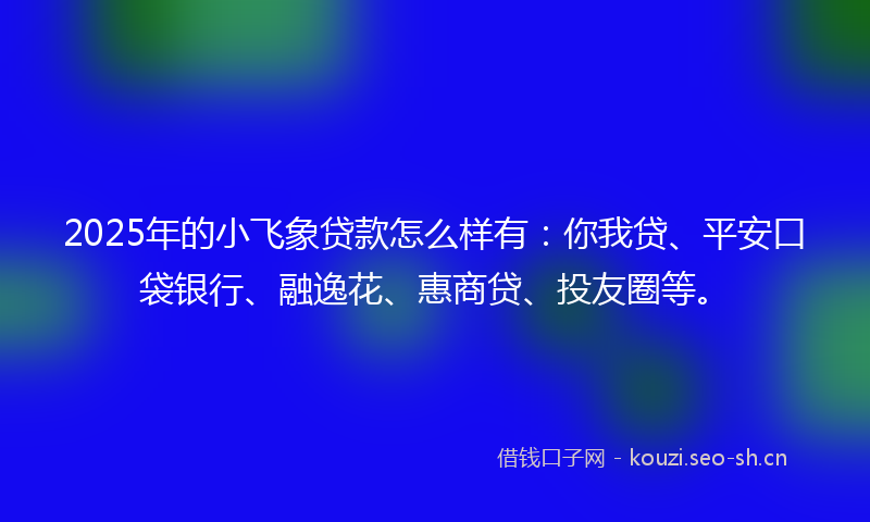 2025年的小飞象贷款怎么样有：你我贷、平安口袋银行、融逸花、惠商贷、投友圈等。