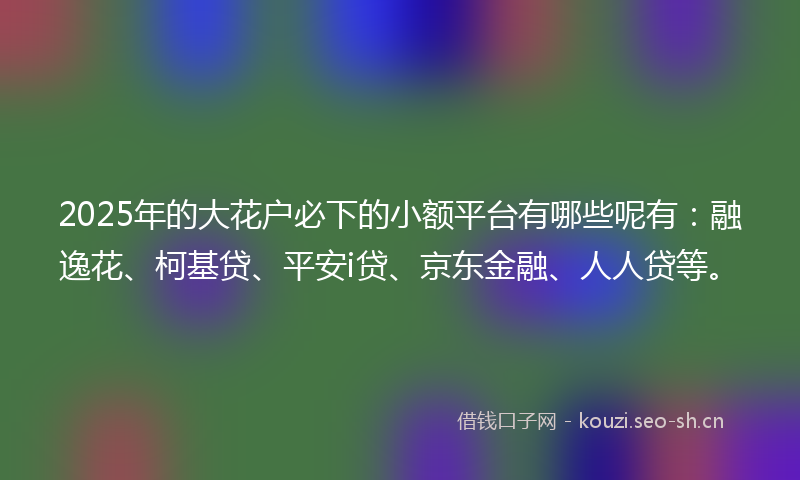 2025年的大花户必下的小额平台有哪些呢有：融逸花、柯基贷、平安i贷、京东金融、人人贷等。