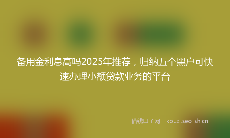 备用金利息高吗2025年推荐,归纳五个黑户可快速办理小额贷款业务的平台