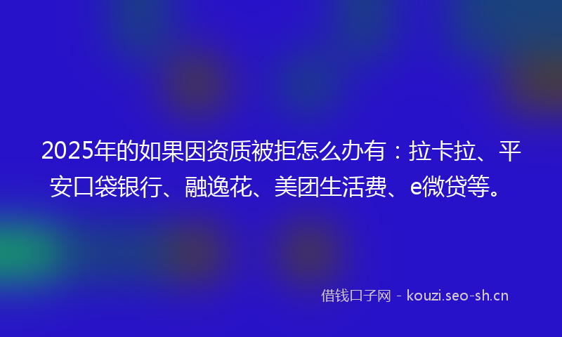 2025年的如果因资质被拒怎么办有：拉卡拉、平安口袋银行、融逸花、美团生活费、e微贷等。