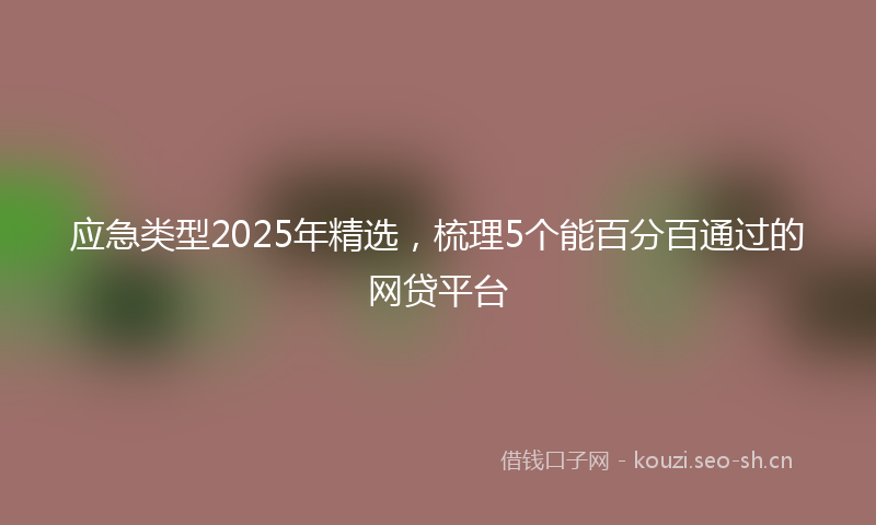 应急类型2025年精选，梳理5个能百分百通过的网贷平台