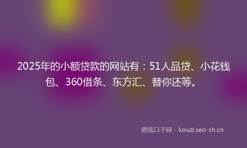 2025年的小额贷款的网站有：51人品贷、小花钱包、360借条、东方汇、替你还等。