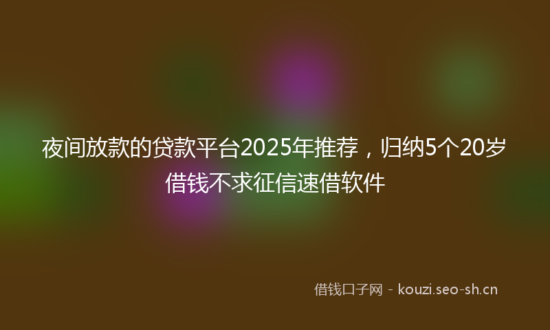 夜间放款的贷款平台2025年推荐，归纳5个20岁借钱不求征信速借软件