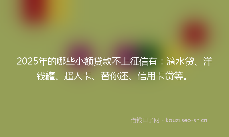 2025年的哪些小额贷款不上征信有：滴水贷、洋钱罐、超人卡、替你还、信用卡贷等。