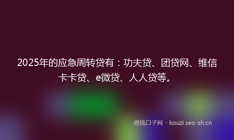 2025年的应急周转贷有：功夫贷、团贷网、维信卡卡贷、e微贷、人人贷等。