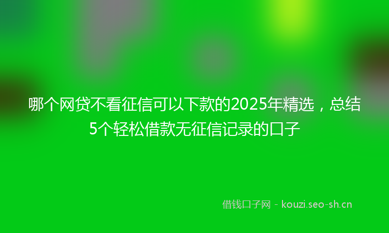 哪个网贷不看征信可以下款的2025年精选，总结5个轻松借款无征信记录的口子