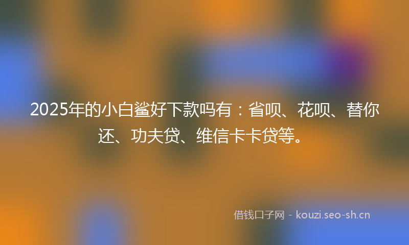 2025年的小白鲨好下款吗有：省呗、花呗、替你还、功夫贷、维信卡卡贷等。
