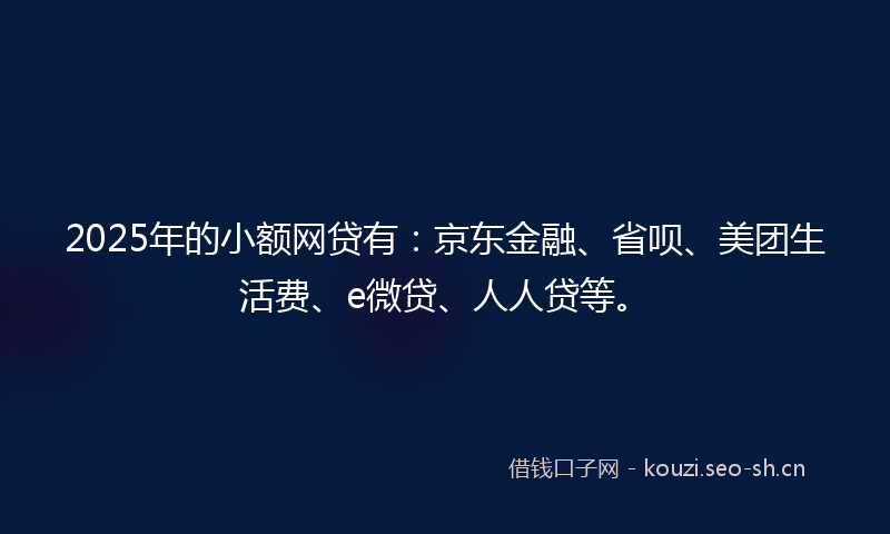 2025年的小额网贷有：京东金融、省呗、美团生活费、e微贷、人人贷等。