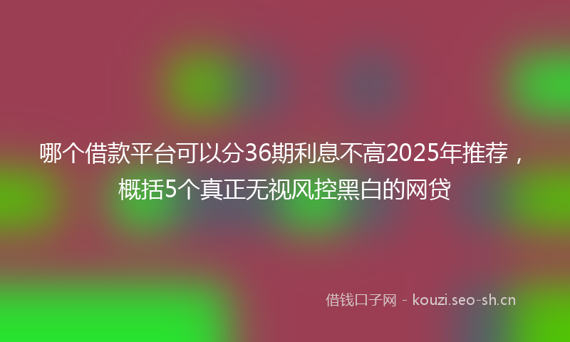 哪个借款平台可以分36期利息不高2025年推荐，概括5个真正无视风控黑白的网贷
