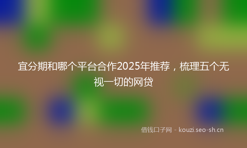 宜分期和哪个平台合作2025年推荐,梳理五个无视一切的网贷