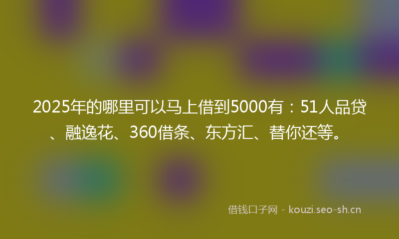 2025年的哪里可以马上借到5000有：51人品贷、融逸花、360借条、东方汇、替你还等。