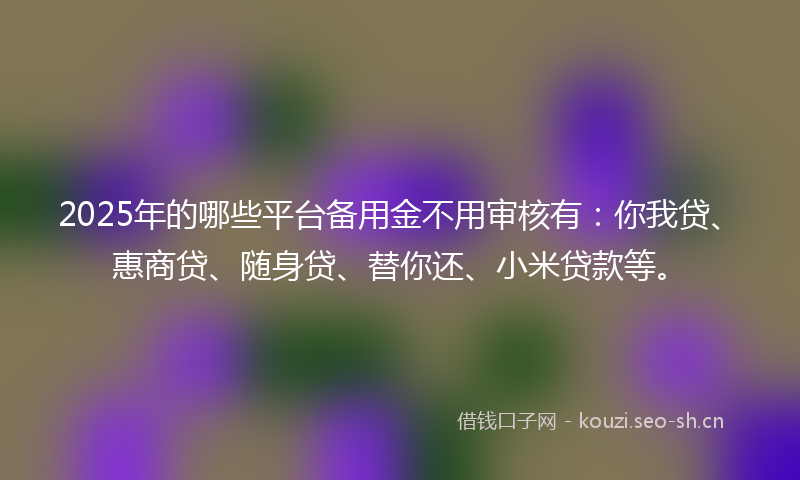 2025年的哪些平台备用金不用审核有：你我贷、惠商贷、随身贷、替你还、小米贷款等。