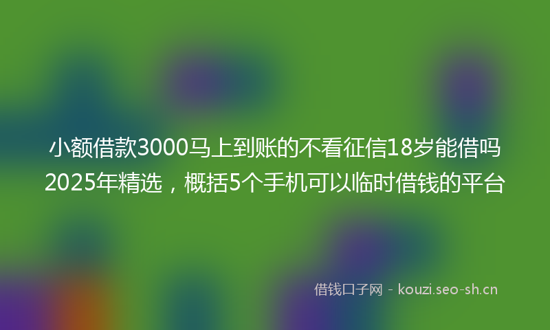 小额借款3000马上到账的不看征信18岁能借吗2025年精选，概括5个手机可以临时借钱的平台