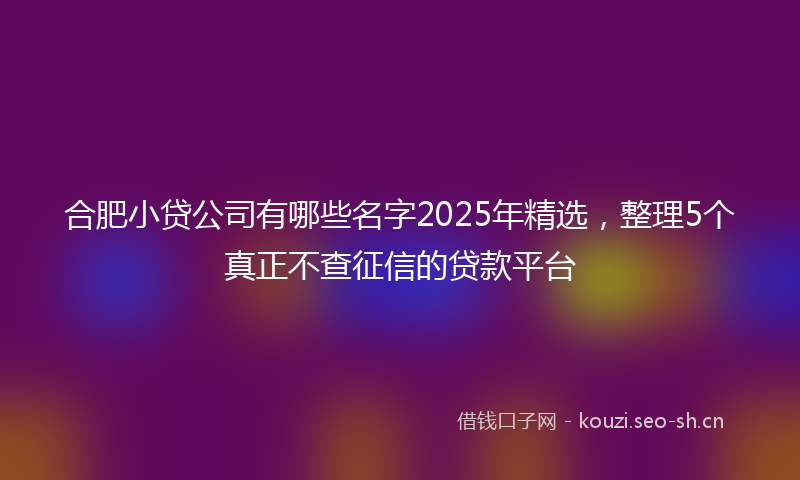 合肥小贷公司有哪些名字2025年精选，整理5个真正不查征信的贷款平台