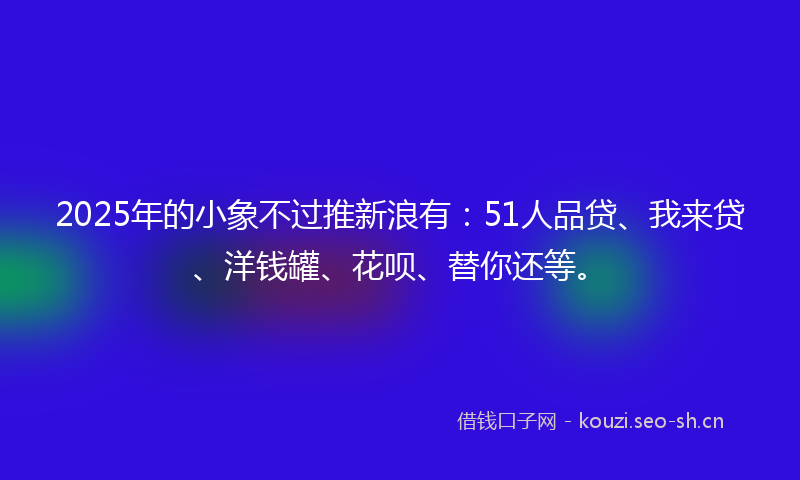 2025年的小象不过推新浪有：51人品贷、我来贷、洋钱罐、花呗、替你还等。