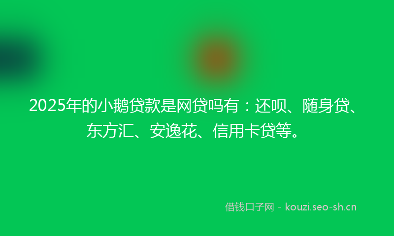 2025年的小鹅贷款是网贷吗有：还呗、随身贷、东方汇、安逸花、信用卡贷等。