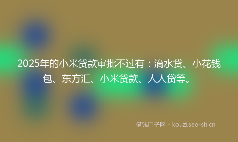 2025年的小米贷款审批不过有：滴水贷、小花钱包、东方汇、小米贷款、人人贷等。