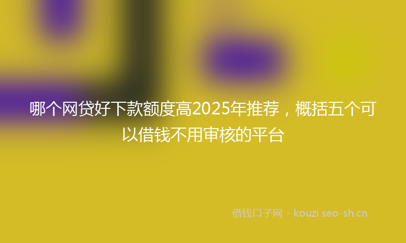 哪个网贷好下款额度高2025年推荐，概括五个可以借钱不用审核的平台