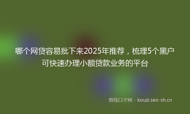 哪个网贷容易批下来2025年推荐，梳理5个黑户可快速办理小额贷款业务的平台