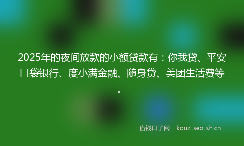 2025年的夜间放款的小额贷款有：你我贷、平安口袋银行、度小满金融、随身贷、美团生活费等。
