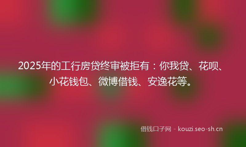 2025年的工行房贷终审被拒有：你我贷、花呗、小花钱包、微博借钱、安逸花等。