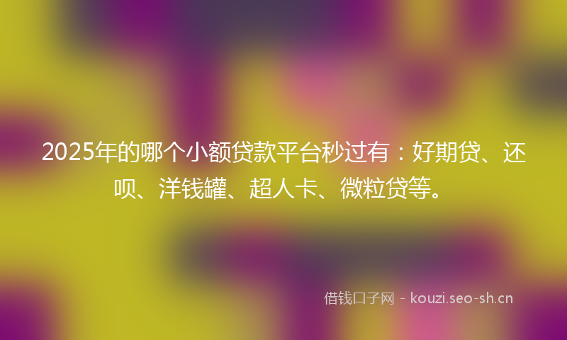 2025年的哪个小额贷款平台秒过有：好期贷、还呗、洋钱罐、超人卡、微粒贷等。