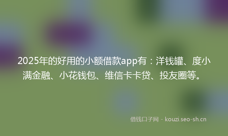 2025年的好用的小额借款app有:洋钱罐、度小满金融、小花钱包、维信卡卡贷、投友圈等。