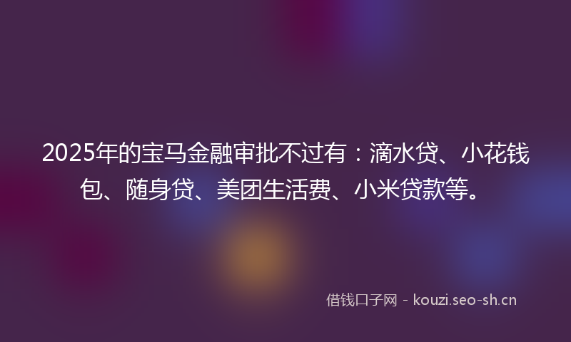 2025年的宝马金融审批不过有：滴水贷、小花钱包、随身贷、美团生活费、小米贷款等。