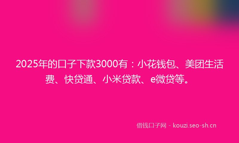 2025年的口子下款3000有：小花钱包、美团生活费、快贷通、小米贷款、e微贷等。