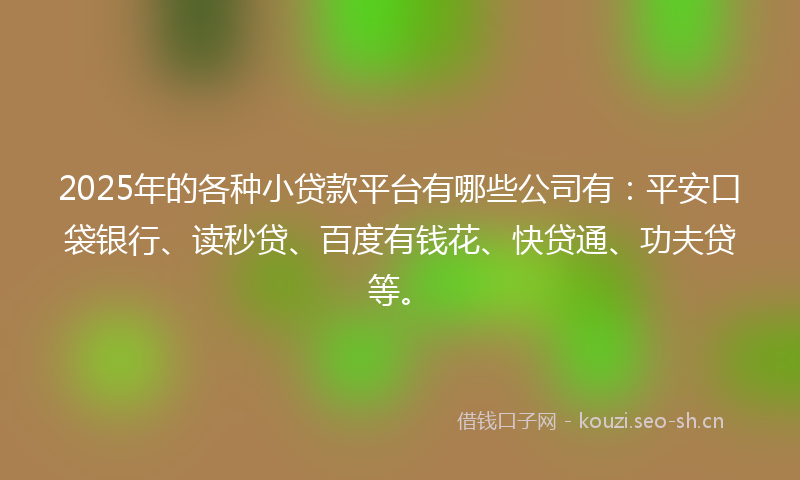 2025年的各种小贷款平台有哪些公司有:平安口袋银行、读秒贷、百度有钱花、快贷通、功夫贷等。