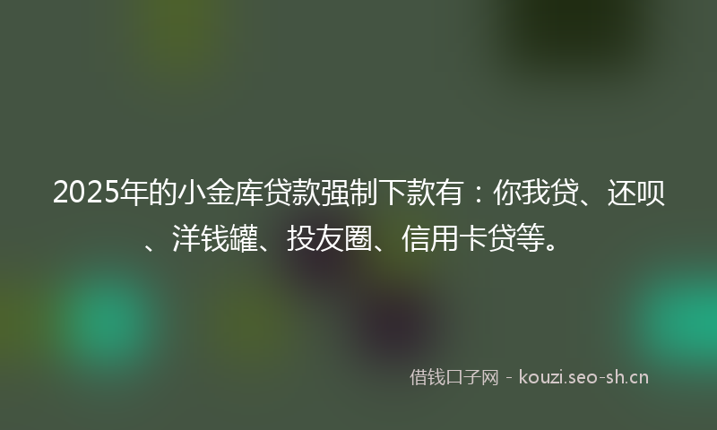 2025年的小金库贷款强制下款有：你我贷、还呗、洋钱罐、投友圈、信用卡贷等。