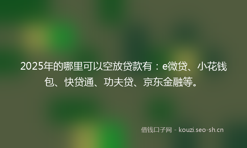 2025年的哪里可以空放贷款有：e微贷、小花钱包、快贷通、功夫贷、京东金融等。