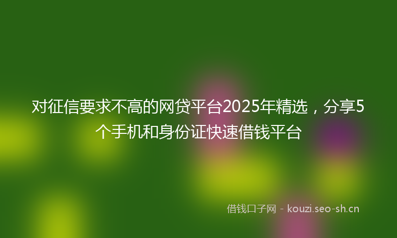 对征信要求不高的网贷平台2025年精选，分享5个手机和身份证快速借钱平台