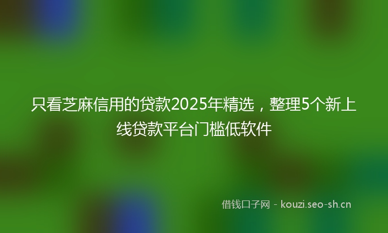 只看芝麻信用的贷款2025年精选,整理5个新上线贷款平台门槛低软件