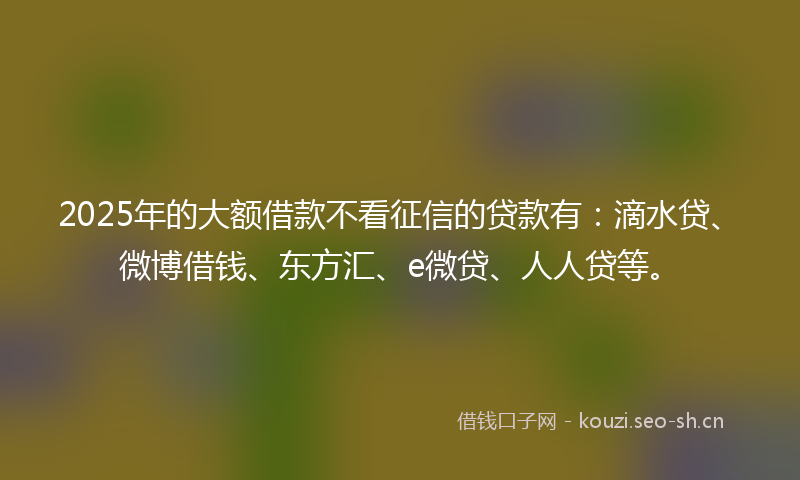 2025年的大额借款不看征信的贷款有：滴水贷、微博借钱、东方汇、e微贷、人人贷等。