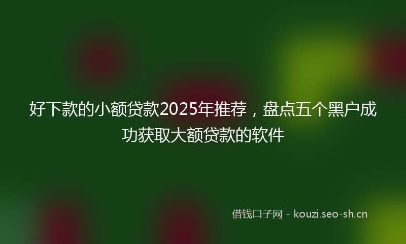 好下款的小额贷款2025年推荐，盘点五个黑户成功获取大额贷款的软件